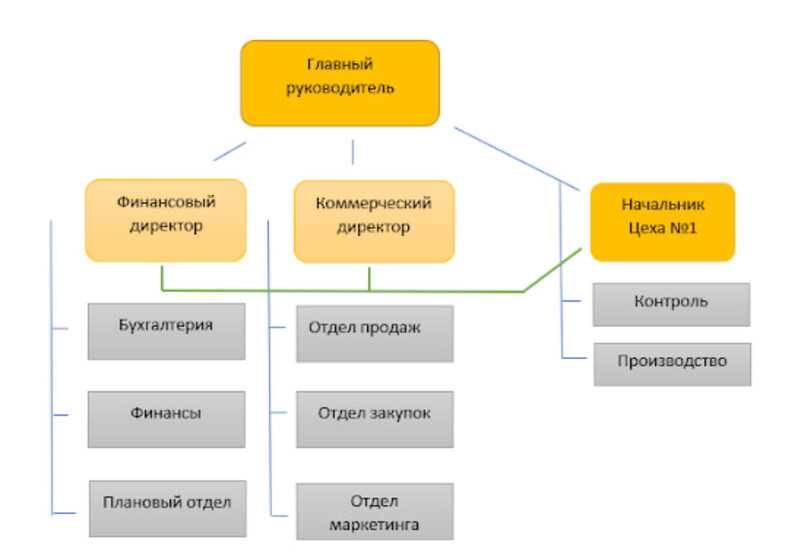 Примеры предприятий с разными видами деятельности: сферы, примеры, описание