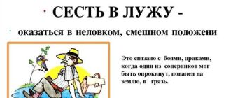 История и значения фразы "Сесть на хвост": происхождение и смысловые нюансы