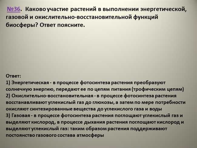 Протонема: что это такое и какова ее роль в развитии растений