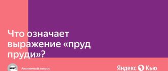 Пруд пруди: значение и употребление этого выражения