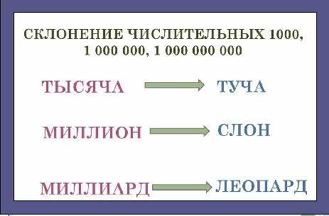 Пятеро простых правил склонения: основные правила и примеры