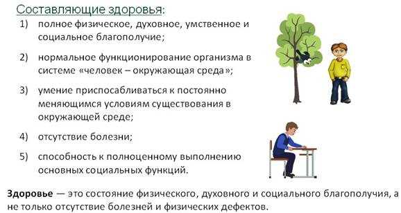 Ритмичность в биологии: что это такое и как она влияет на жизнедеятельность организмов