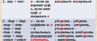 Сдуло ветром или здуло ветром - как правильно пишется и почему? Грамотно научим! - Справочник русского языка