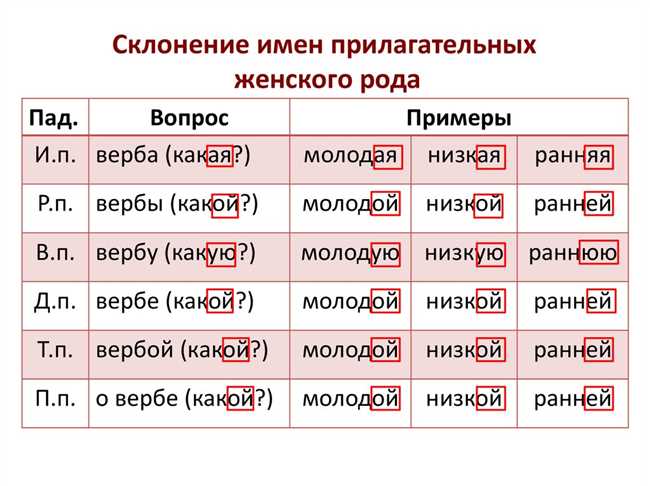 Склонение имени Аня в предложном падеже