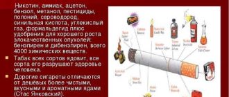 Сколько грамм табака содержится в пачке сигарет: анализ состава и количество табачной массы
