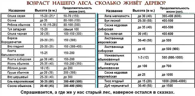 2. Опасность от мелких грызунов