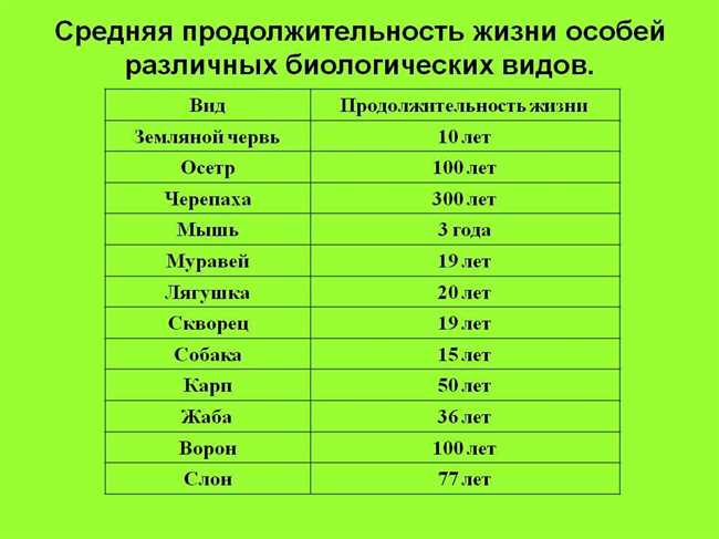 Сколько лет живут танки: узнайте, сколько и что влияет на продолжительность жизни этого рыбного вида