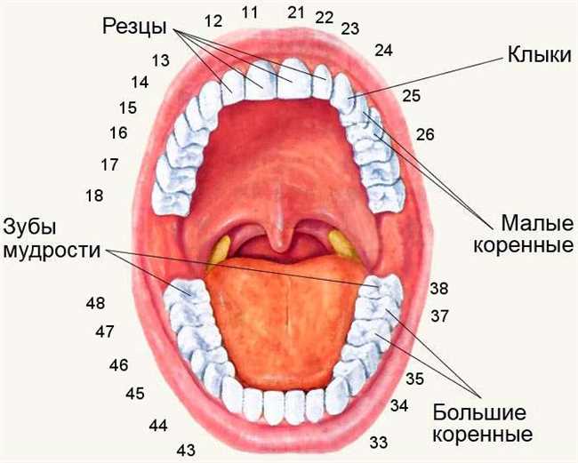 Клыки