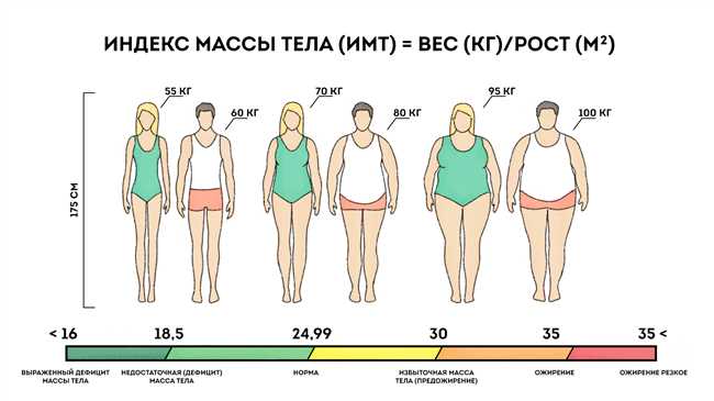 Сколько весит нога человека: измерение и сравнение веса ноги