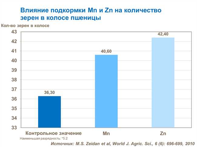 Значение пшеницы в человеческом питании