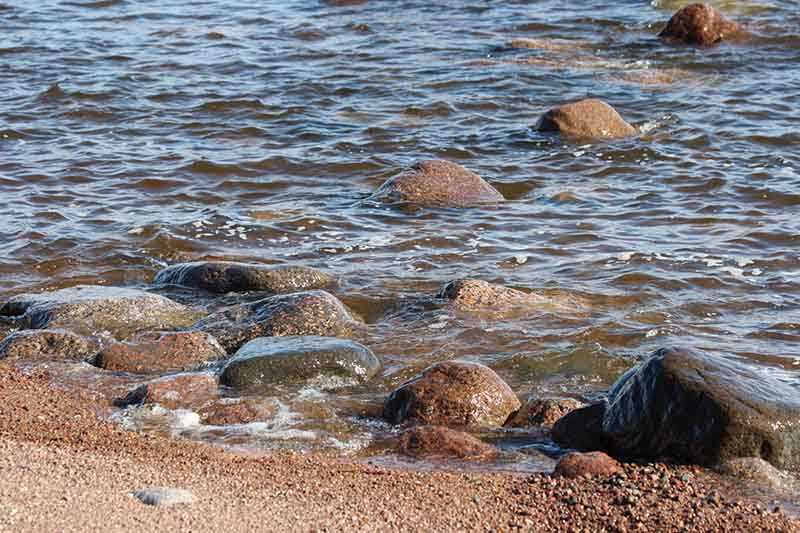 Соленая или пресная вода в Финском заливе? Разбираем споры и факты