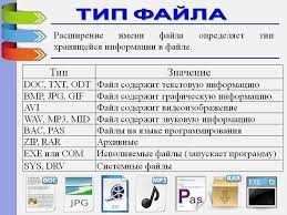 Определение основных понятий