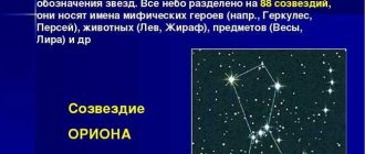 Созвездия-птицы: узнайте, какие звездные образования носят их имена