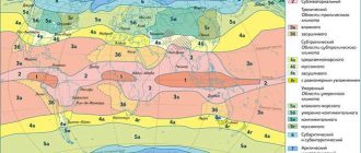 Тропический пояс в разных странах мира: особенности и климат