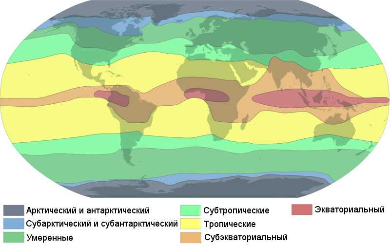 Влияние тропического климата на растительный и животный мир