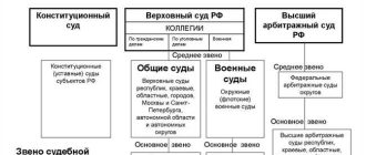 Устройство Шариатского суда: особенности и отличия от обычного российского суда
