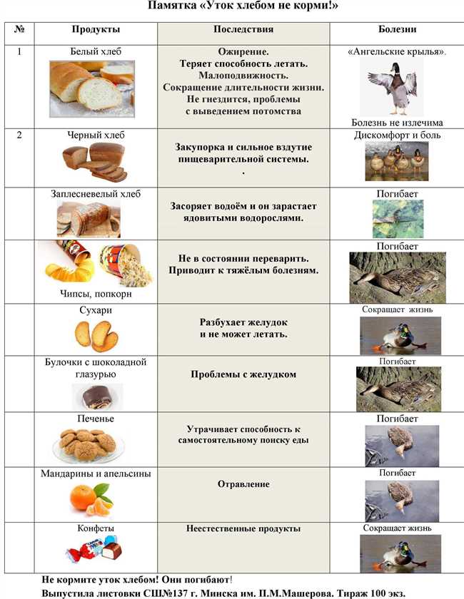 Особенности питания уток и их влияние на здоровье