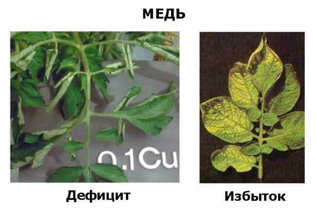 Как преодолеть проблемы проводимости меди?