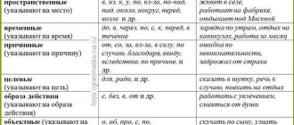 Смысловые нюансы между категорически и категорично: разбираемся в отличиях