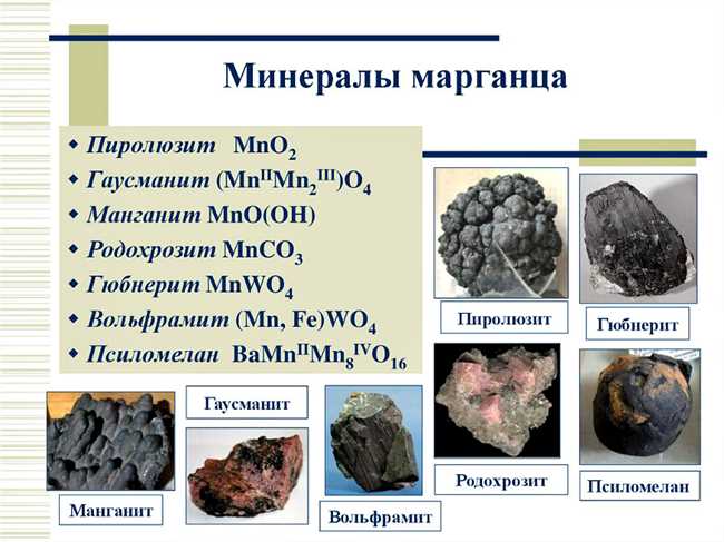 2. Почвы и скальные образования