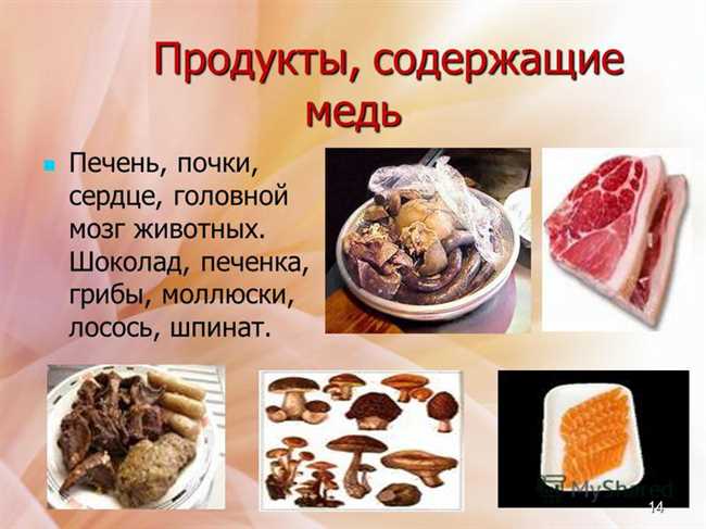 В каких продуктах есть медь в большом количестве?