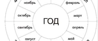 В квартале сколько месяцев? Полный ответ на вопрос!