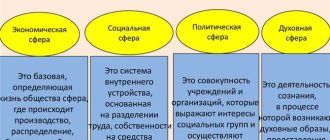 Виды сфер деятельности: обзор, особенности и ключевые аспекты