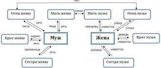 Внучатый племянник: значение и родственные связи