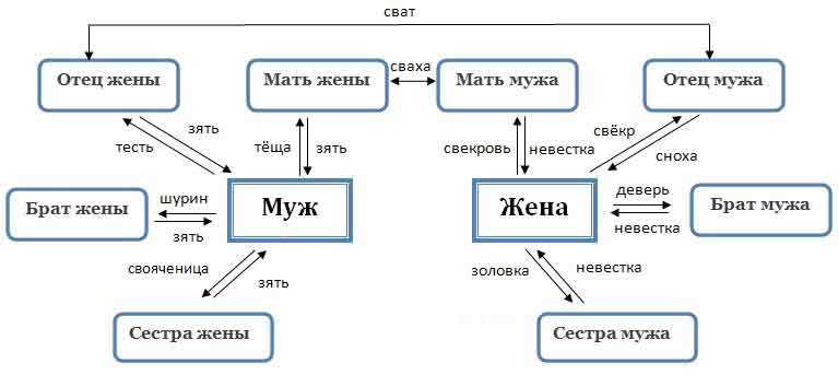 Внучатый племянник: кто это и каково значение этого родственного статуса?