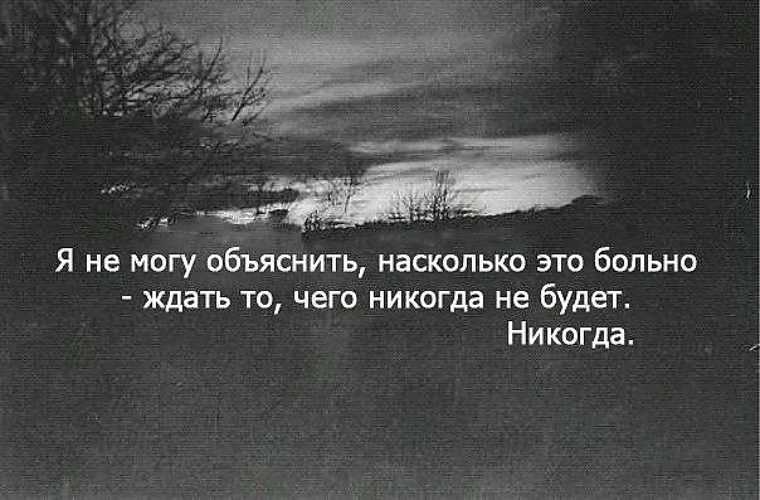 Все, что вам нужно знать о сидженах: кто они и что представляют собой эти таинственные существа