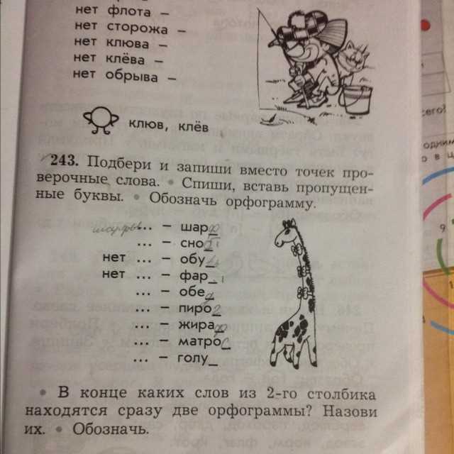 Как правильно использовать проверочное слово к слову жираф?