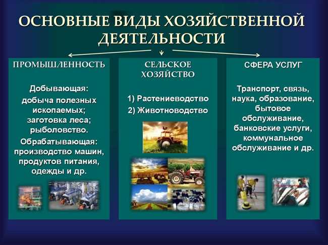 Хозяйственная деятельность в российской тайге: особенности и возможности