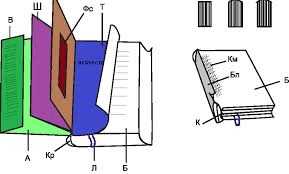 Задняя сторона книги: что это такое и как называется