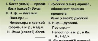 Разбираемся с значением двойки в русском языке: как его можно толковать и где применять