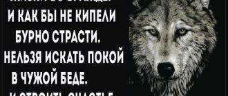 Интерпретация и значение поговорки "На несчастье других не основано истинное счастье: анализ и толкование изречения"
